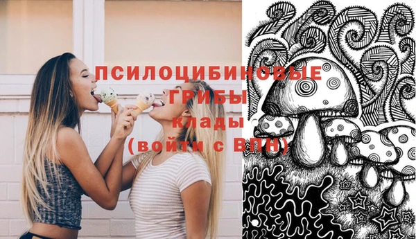 spice Алексин